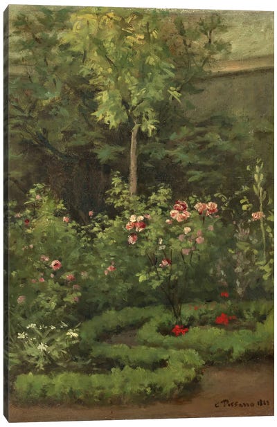 A Rose Garden, 1862 Canvas Art Print - Camille Pissarro