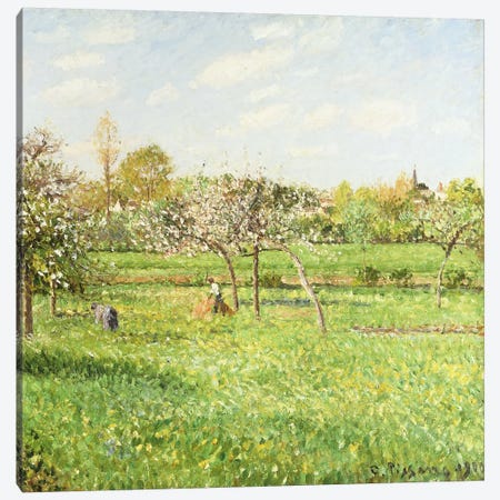 Morning, Spring, Grey Weather, Eragny, 1900 Canvas Print #BMN6660} by Camille Pissarro Canvas Art Print