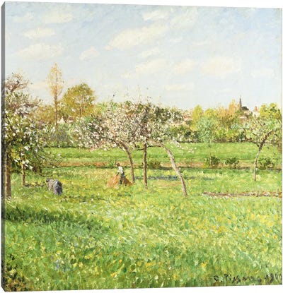 Morning, Spring, Grey Weather, Eragny, 1900 Canvas Art Print - Camille Pissarro