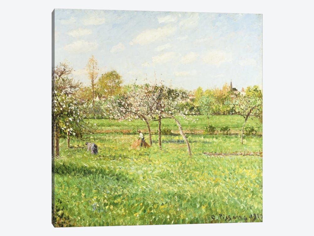 Morning, Spring, Grey Weather, Eragny, 1900 by Camille Pissarro 1-piece Art Print