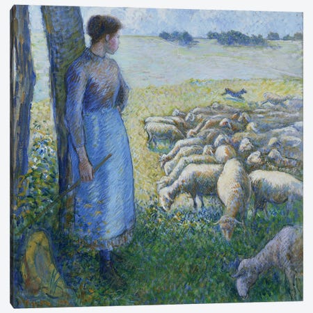 Shepherdess And Sheep, 1887 Canvas Print #BMN6675} by Camille Pissarro Art Print