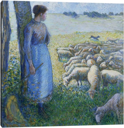 Shepherdess And Sheep, 1887 Canvas Art Print - Camille Pissarro