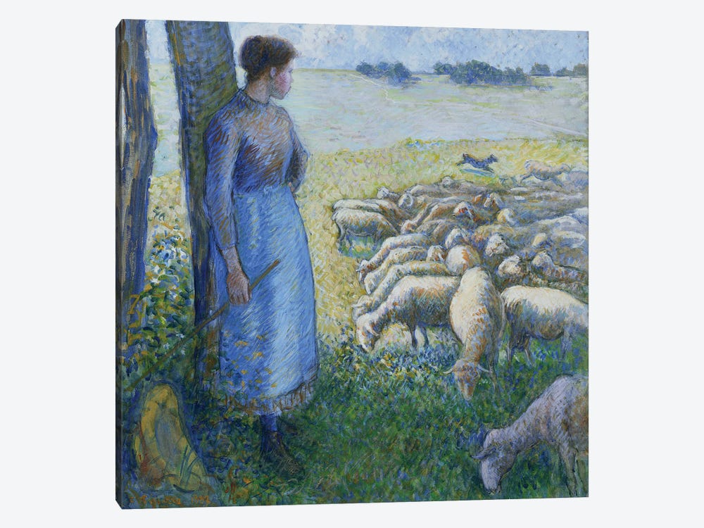 Shepherdess And Sheep, 1887 by Camille Pissarro 1-piece Canvas Print