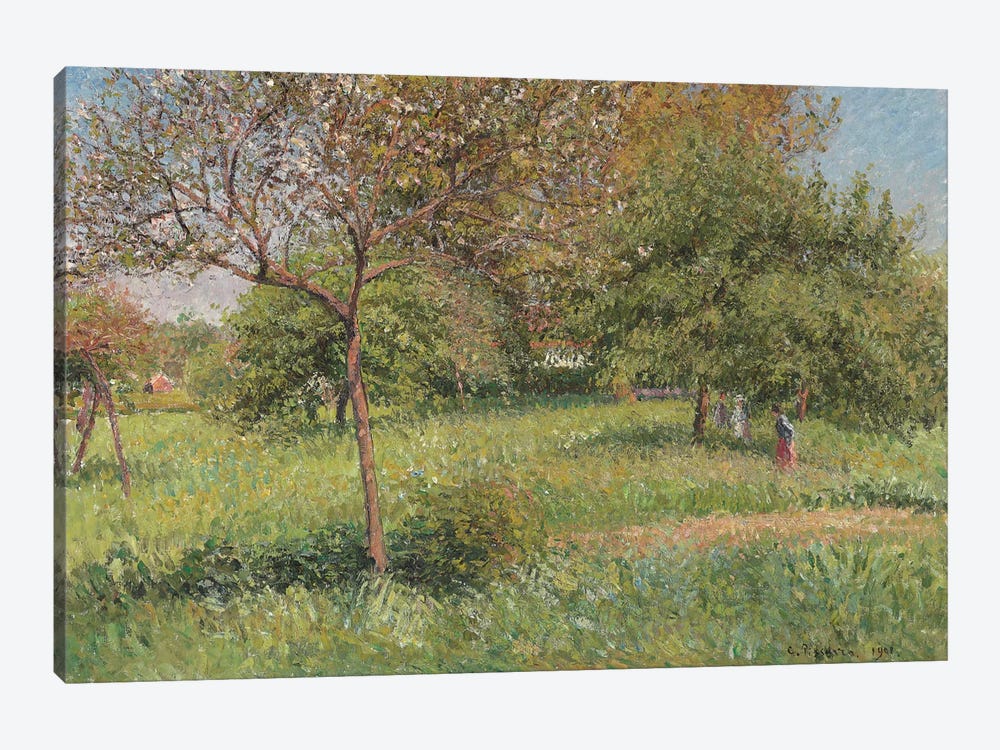 The Great Walnut Tree, Morning, Eragny, 1901 1-piece Canvas Art