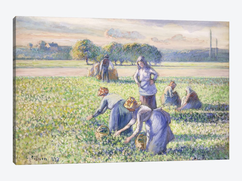 The Harvest Of Peas, 1887 1-piece Canvas Wall Art
