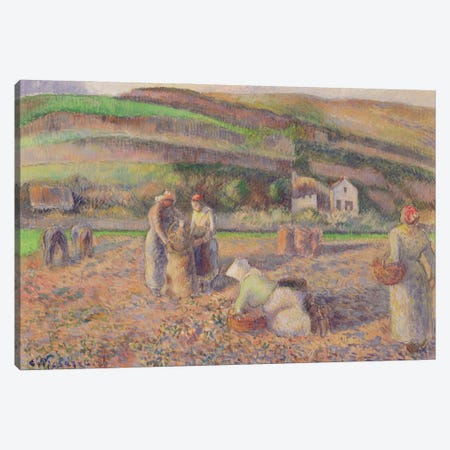 The Potato Harvest, 1886 Canvas Print #BMN6700} by Camille Pissarro Canvas Art