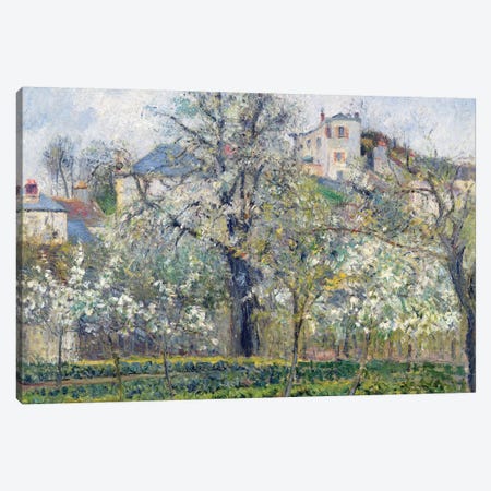 The Vegetable Garden With Trees In Blossom, Spring, Pontoise, 1877 Canvas Print #BMN6706} by Camille Pissarro Canvas Art Print