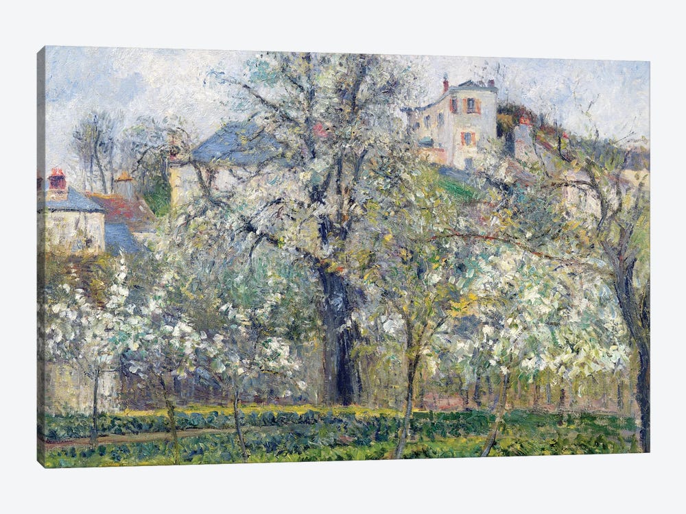 The Vegetable Garden With Trees In Blossom, Spring, Pontoise, 1877 1-piece Canvas Artwork