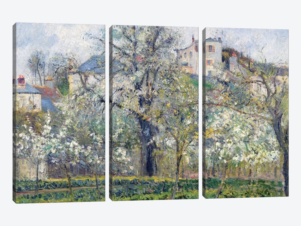 The Vegetable Garden With Trees In Blossom, Spring, Pontoise, 1877 by Camille Pissarro 3-piece Canvas Artwork