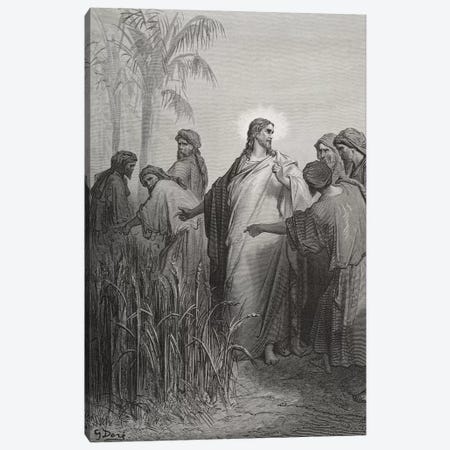 Jesus And His Disciples In The Corn Field (Illustration From Dore's The Holy Bible), 1866 Canvas Print #BMN6801} by Gustave Dore Art Print