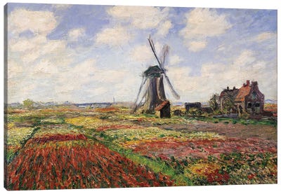 Tulip Fields with the Rijnsburg Windmill, 1886  Canvas Art Print - All Things Monet