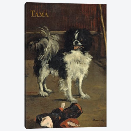 Tama, The Japanese Dog, c.1875 Canvas Print #BMN7028} by Edouard Manet Canvas Artwork