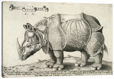 Rhinoceros, 1548 Canvas Art Print
