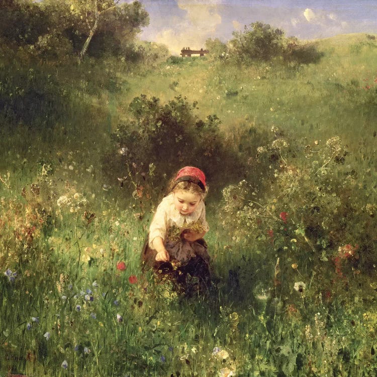 A Young Girl in a Field