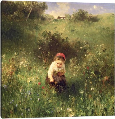 A Young Girl in a Field Canvas Art Print