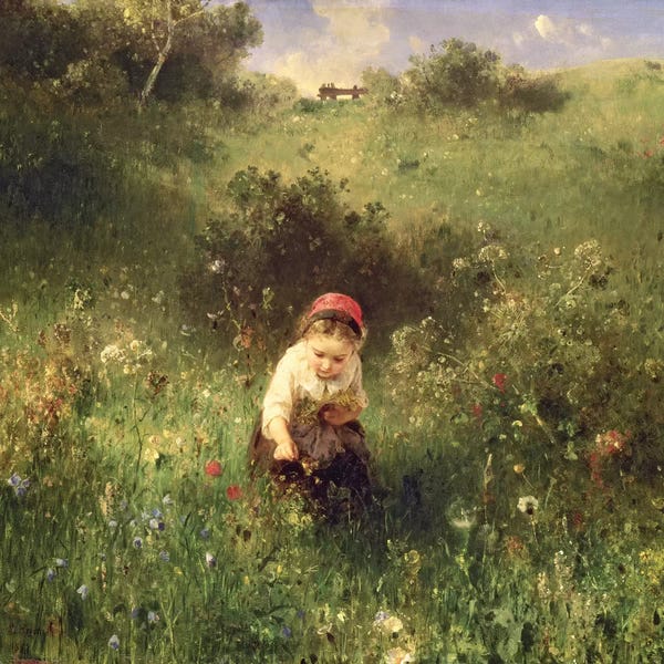 A Young Girl in a Field