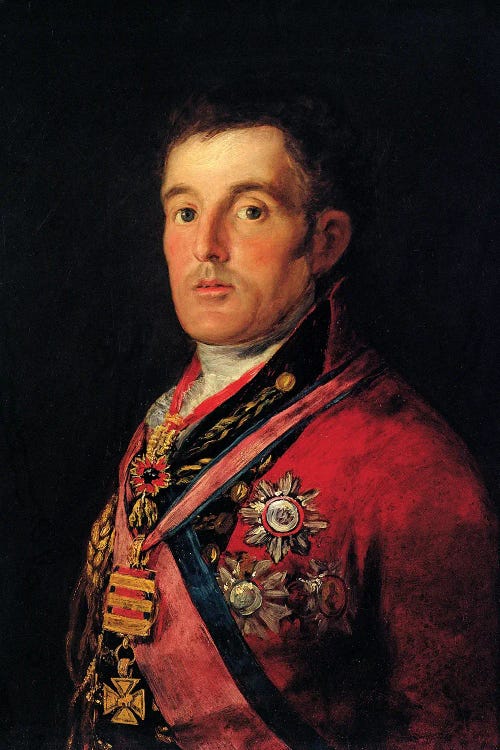 Duke Of Wellington Framed Picture
