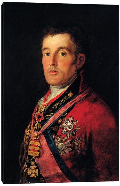 The Duke Of Wellington, 1812-14 Canvas Art Print - Francisco Goya