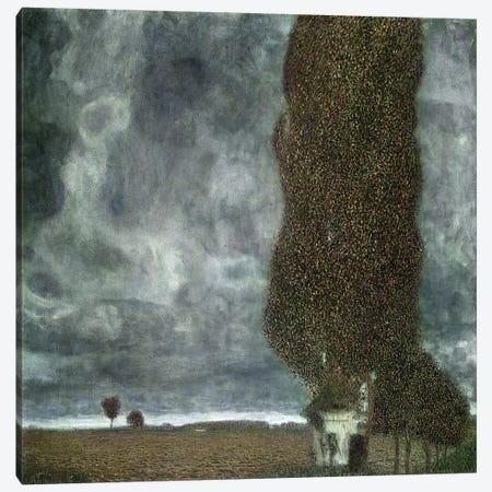 Approaching Thunderstorm (The Large Poplar II), 1903 Canvas Print #BMN7076} by Gustav Klimt Canvas Wall Art
