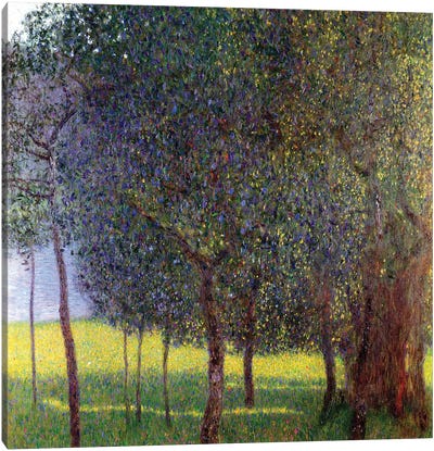 Fruit Trees, 1901 Canvas Art Print - All Things Klimt