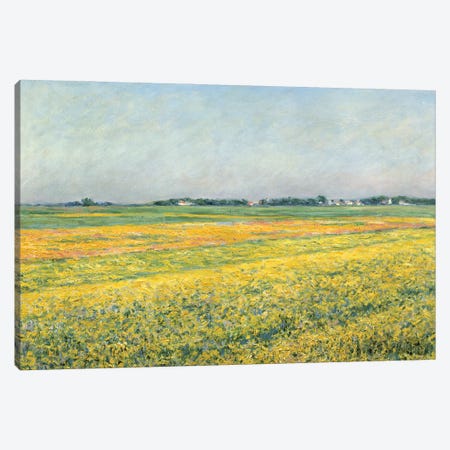 The Plain Of Gennevilliers, Yellow Fields, 1884 Canvas Print #BMN7084} by Gustave Caillebotte Canvas Print