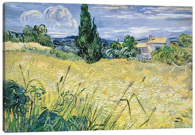 Landscape with Green Corn, 1889  Canvas Art Print - Field, Grassland & Meadow Art