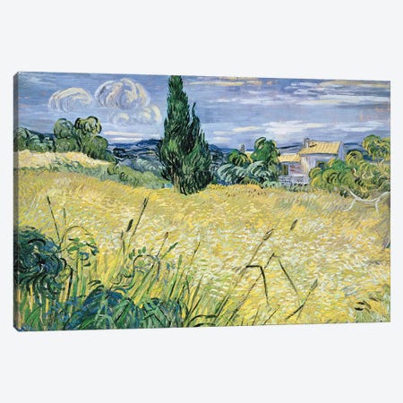 Landscape with Green Corn, 1889  Canvas Print #BMN709} by Vincent van Gogh Canvas Art Print
