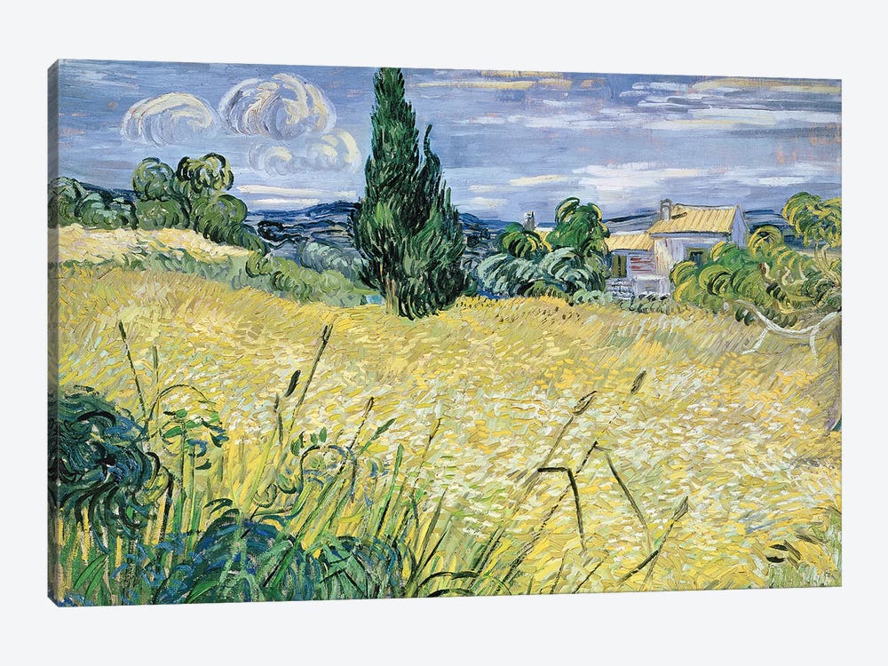 Landscape with Green Corn, 1889  by Vincent van Gogh 1-piece Art Print