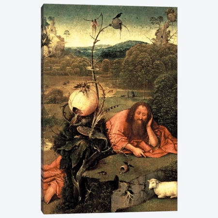 St. John The Baptist In Meditation Canvas Print #BMN7107} by Hieronymus Bosch Canvas Artwork