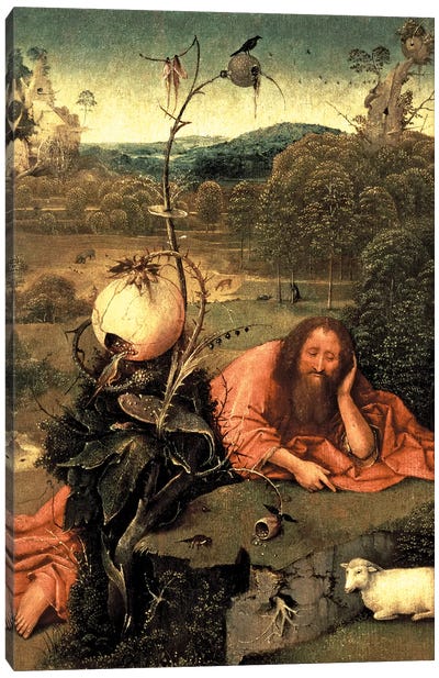 St. John The Baptist In Meditation Canvas Art Print - Hieronymus Bosch