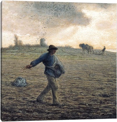 The Sower (Private Collection) Canvas Art Print - Farmer