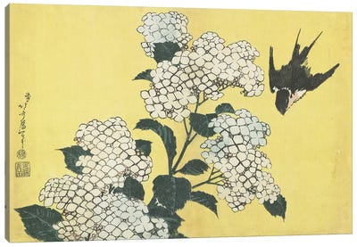 Hydrangea And Swallow, c.1832 Canvas Art Print - East Asian Culture