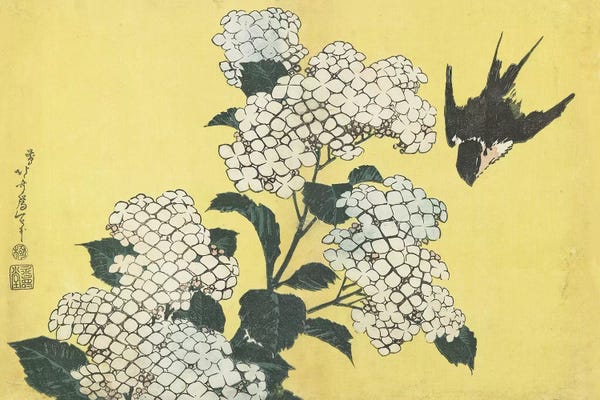Ukiyo-e: Hydrangea And Swallow, c.1832 by Katsushika Hokusai