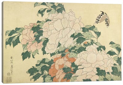 Peonies And Butterfly, c.1830-31 Canvas Art Print - Katsushika Hokusai