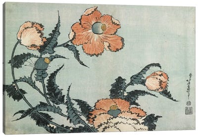 Poppies, c.1832 Canvas Art Print - Japanese Fine Art (Ukiyo-e)