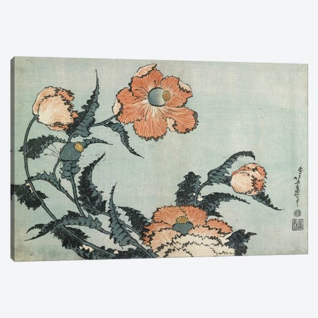 Poppies, c.1832 Canvas Print #BMN7156} by Katsushika Hokusai Art Print