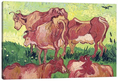 Cows, 1890 Canvas Art Print - Vincent van Gogh