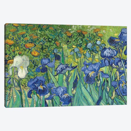 Detail Of Center-Left, Irises, 1889 Canvas Print #BMN7207} by Vincent van Gogh Canvas Print