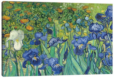 Detail Of Center-Left, Irises, 1889 Canvas Art Print - Vincent van Gogh