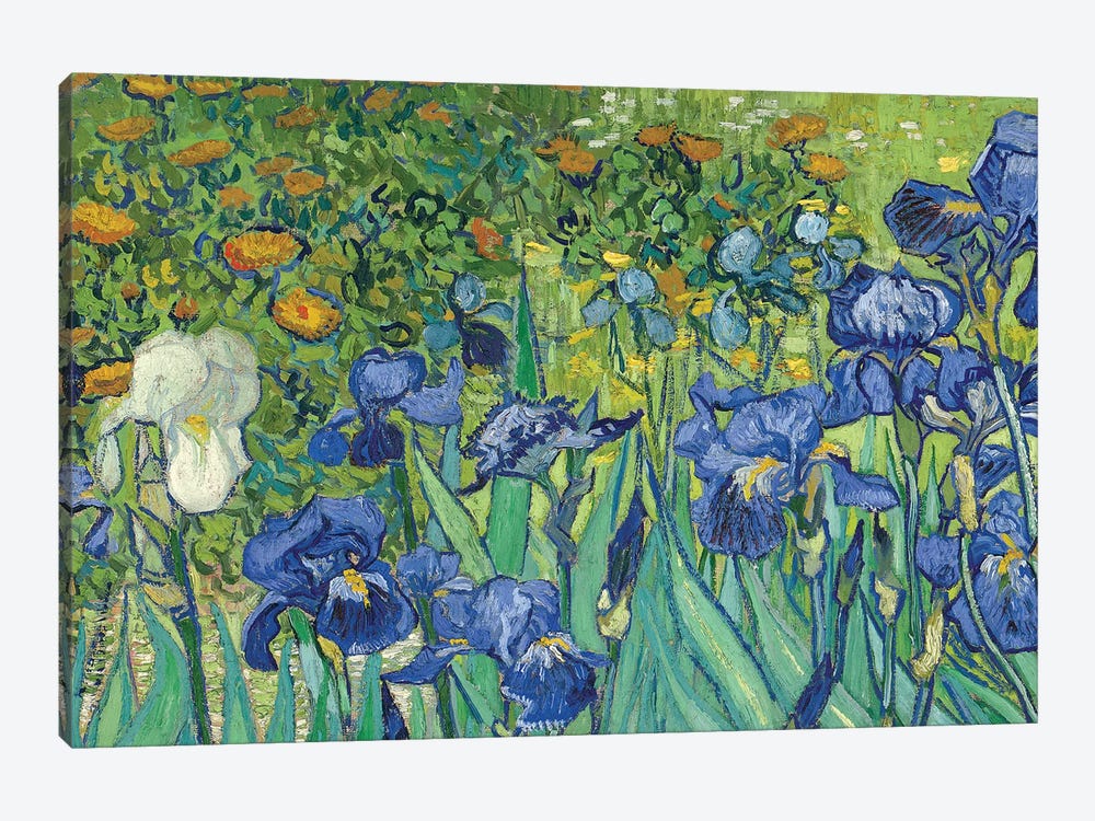 Detail Of Center-Left, Irises, 1889 by Vincent van Gogh 1-piece Art Print