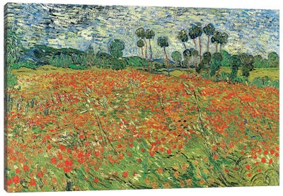 Field Of Poppies, Auvers-sur-Oise, 1890 Canvas Art Print - Garden & Floral Landscape Art