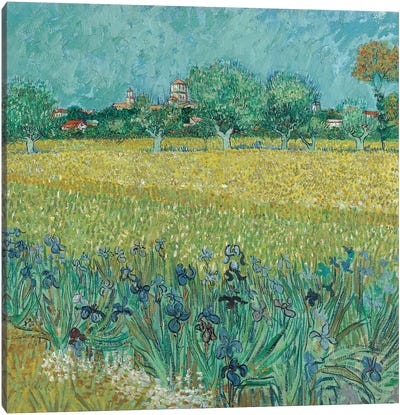 Field With Flowers Near Arles, 1888 Canvas Art Print - Traditional Living Room Art