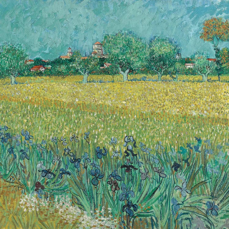 Field With Flowers Near Arles, 1888 by Vincent van Gogh wall art