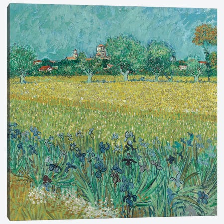 Field With Flowers Near Arles, 1888 Canvas Print #BMN7210} by Vincent van Gogh Canvas Art Print