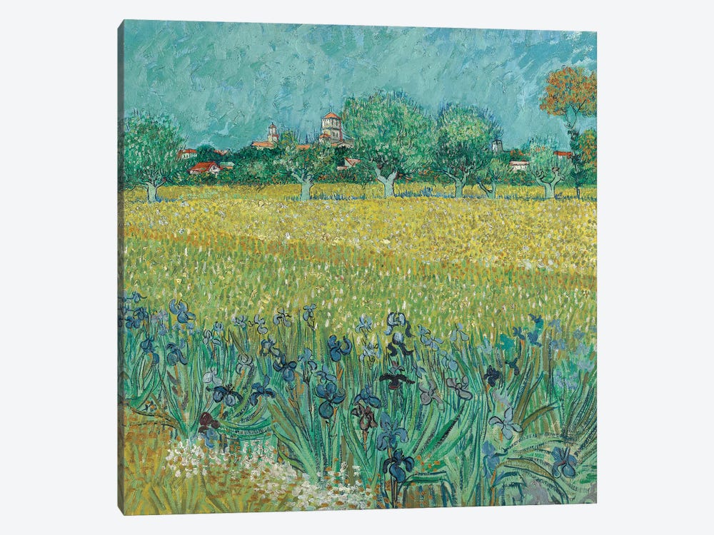 Field With Flowers Near Arles, 1888 by Vincent van Gogh 1-piece Canvas Art Print