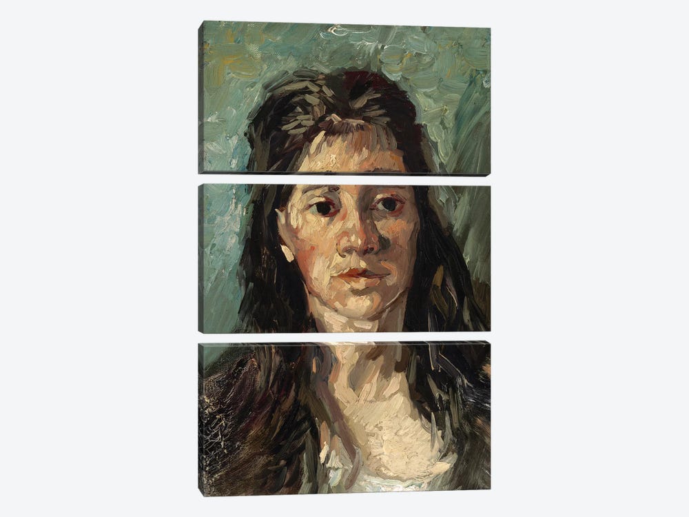 Head Of A Prostitute, 1885 by Vincent van Gogh 3-piece Canvas Art