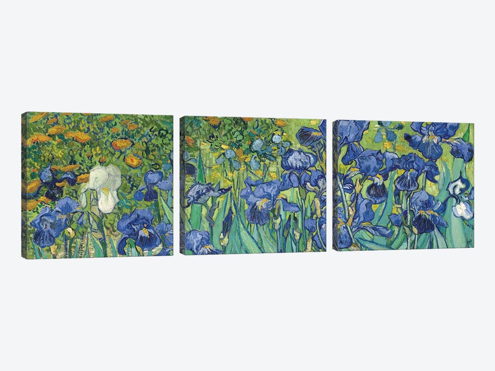 Irises, 1889 by Vincent van Gogh 3-piece Canvas Art Print
