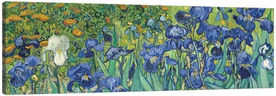 Irises, 1889 Canvas Art Print - Fine Art