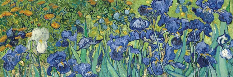 Irises, 1889 by Vincent van Gogh wall art