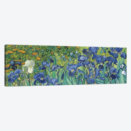 Irises, 1889 Canvas Print #BMN7214} by Vincent van Gogh Canvas Wall Art
